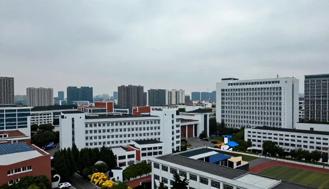 制作网站公司如何解决企业名录查询难题，提升信息获取效率